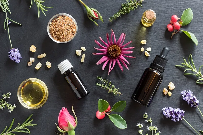 Liệu pháp mùi hương (Aromatherapy) là gì? Công dụng và tác dụng phụ