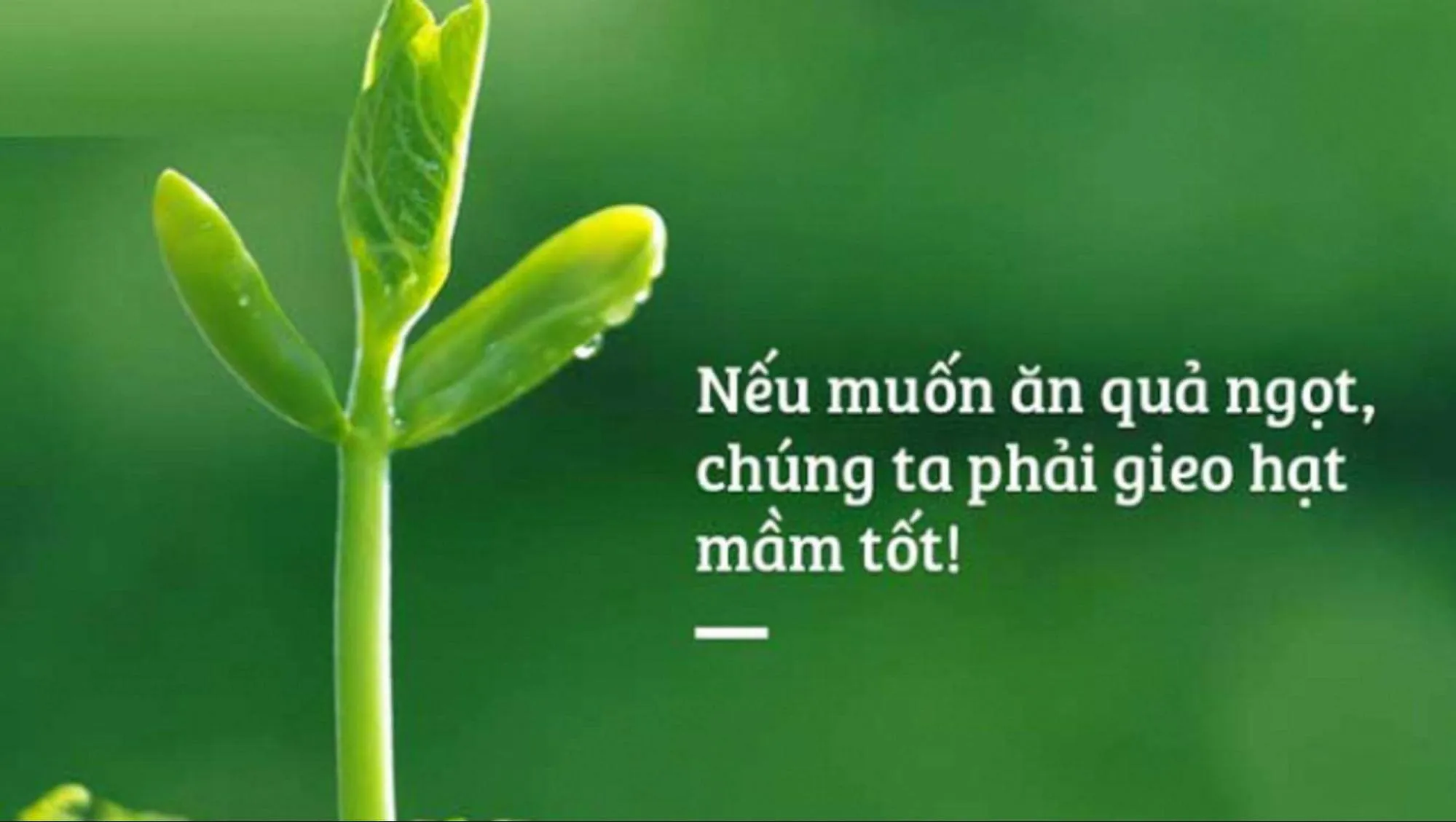 Luật nhân quả là gì? Hiểu rõ luật nhân quả để tự mình thay đổi số phận