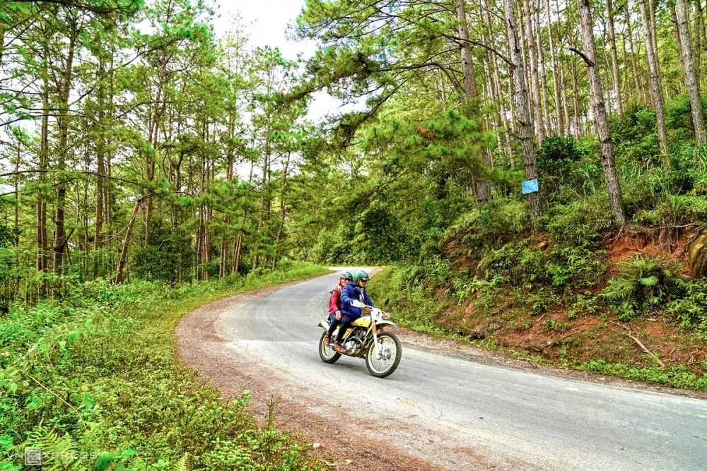 Măng Đen Kon Tum ở đâu? Kinh nghiệm du lịch Măng Đen Kon Tum