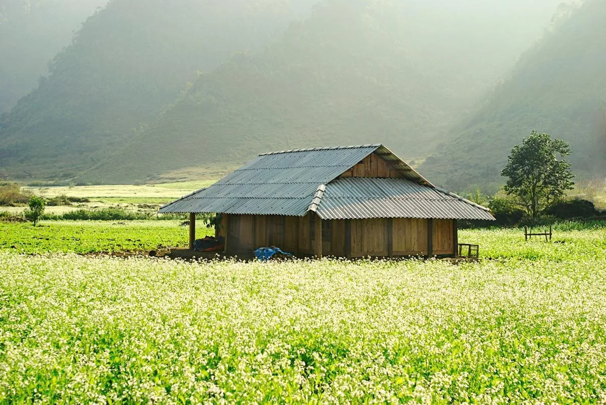 Mê mẩn với 30+ địa điểm du lịch Mộc Châu không thể bỏ lỡ