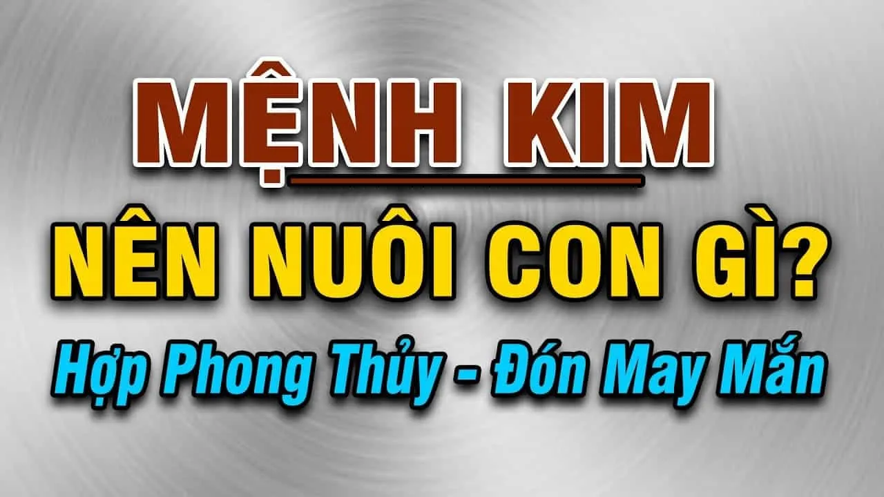 Mệnh Kim nuôi con gì phát tài phát lộc?