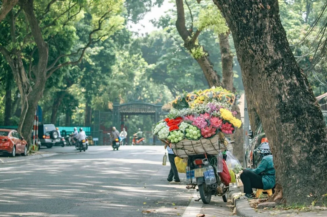 Miền Bắc có bao nhiêu tỉnh thành? Gồm các tỉnh thành nào?