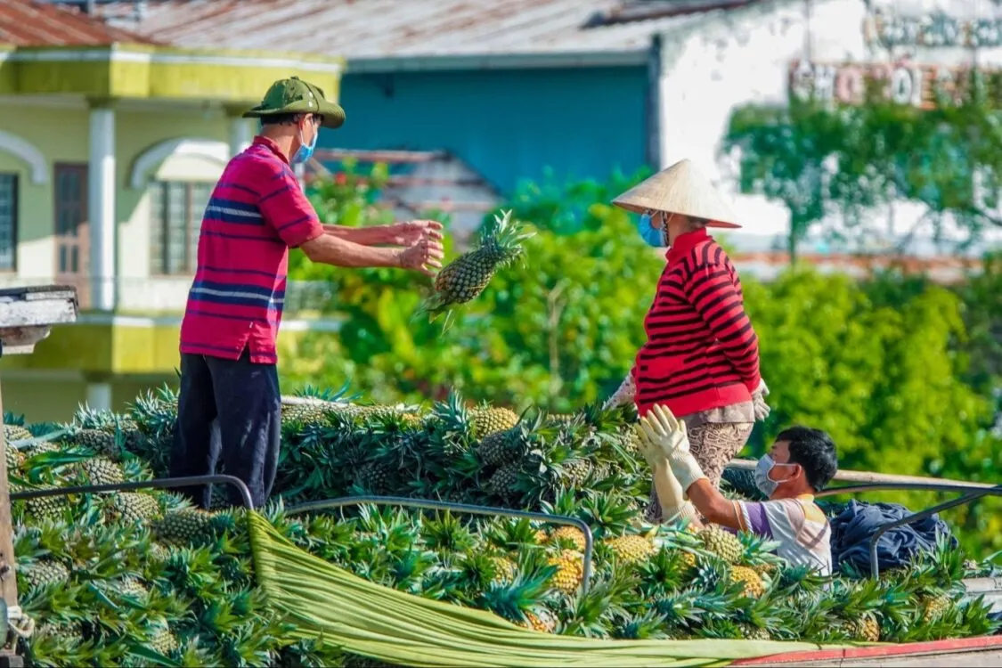 Miền nam có mấy mùa? Thời tiết từng mùa có đặc điểm nổi bật gì