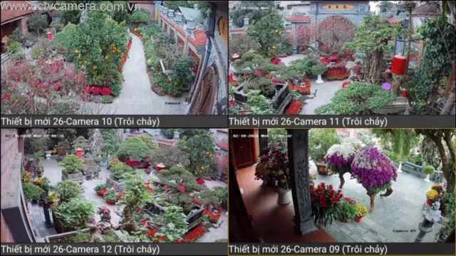 Nên đặt camera ở đâu trong nhà? Phòng ngủ có nên đặt không?