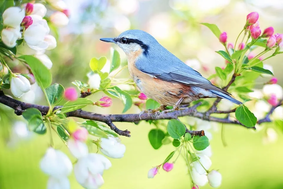 Ngày lập xuân là ngày gì? Ý nghĩa ngày lập xuân đối với người việt