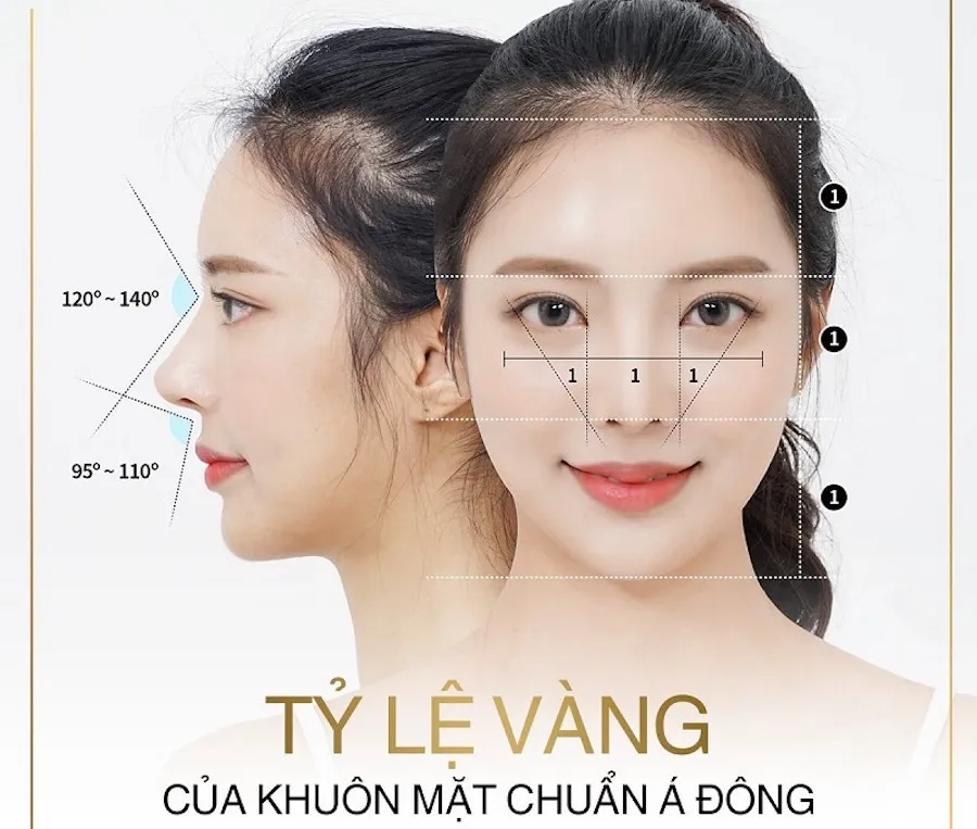 Như thế nào là gương mặt tỉ lệ vàng? Cách xác định gương mặt nam – nữ tỉ lệ vàng