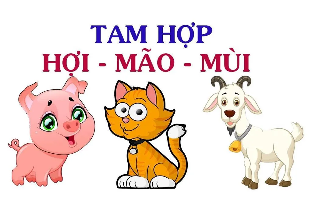 Những điều cần biết về tam hợp tuổi Hợi Mão Mùi