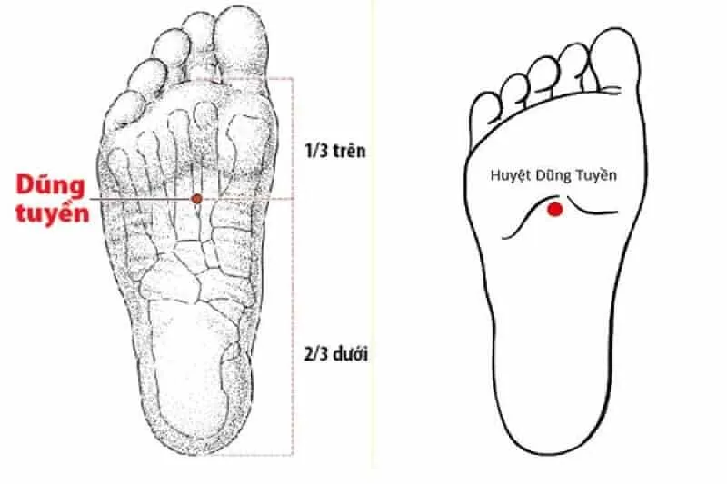 Phương pháp bấm huyệt chữa mất ngủ tại nhà