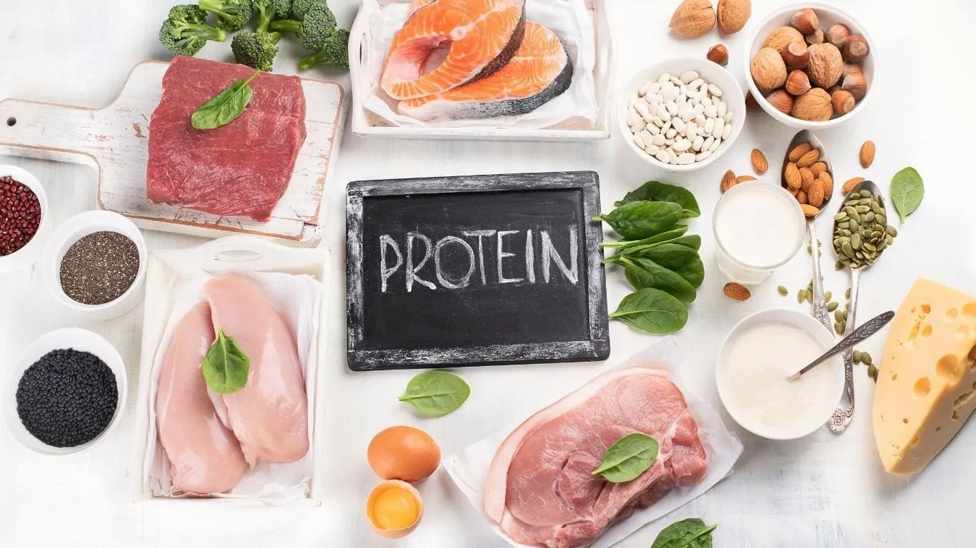 Protein là gì? Vai trò của Protein đến với sức khỏe