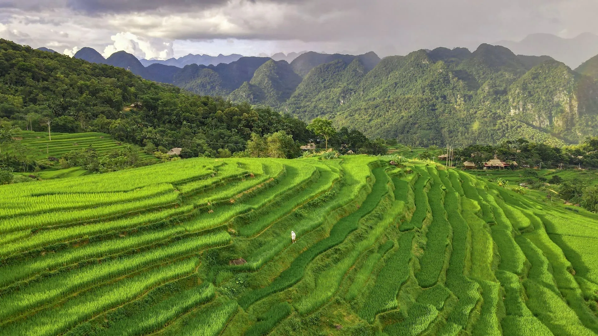 Pù Luông ở đâu? Kinh nghiệm du lịch Pù Luông đầy đủ và chi tiết nhất