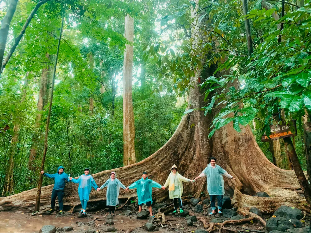 Rừng quốc gia Bình Châu ở đâu? Kinh nghiệm khám phá rừng quốc gia Bình Châu 