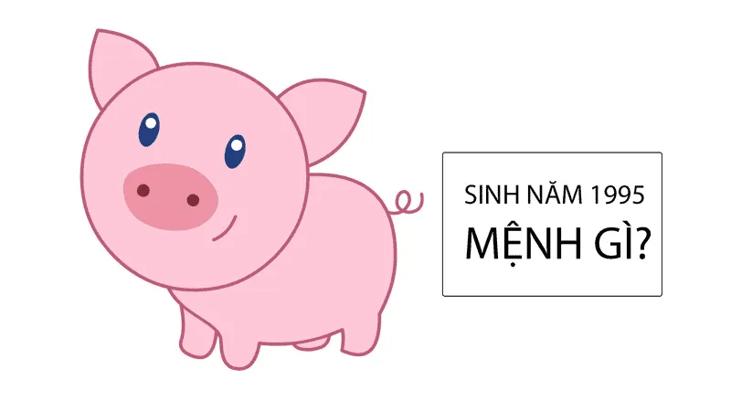 Sinh năm 1995 mệnh gì? Tuổi Ất Hợi hợp màu gì? Kỵ màu gì?