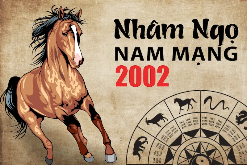 Sinh năm 2002 mệnh gì? Tuổi Nhâm Ngọ hợp màu gì? Kỵ màu gì?