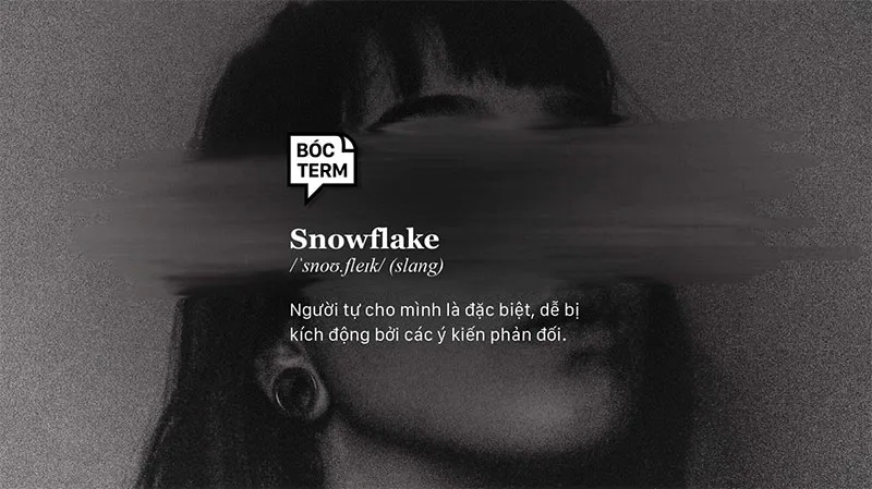 Snowflake là gì? Liệu bạn có đang là một Snowflake? 