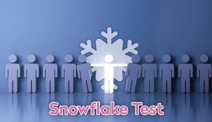 Snowflake là gì? Liệu bạn có đang là một Snowflake? 