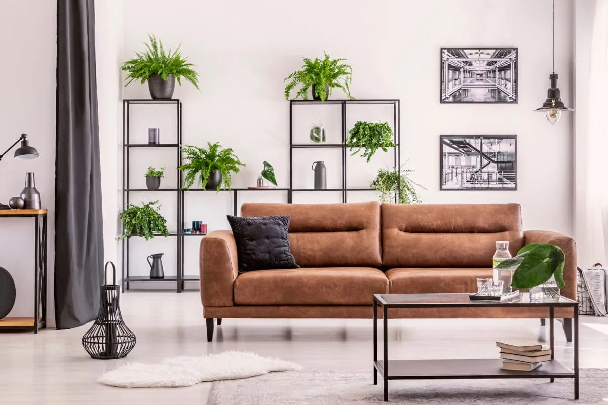 Sofa da là gì? Ưu và nhược điểm của các loại sofa