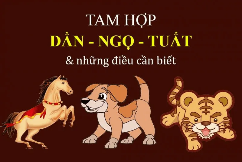 Tam Hợp Dần Ngọ Tuất và những điều bạn nên biết