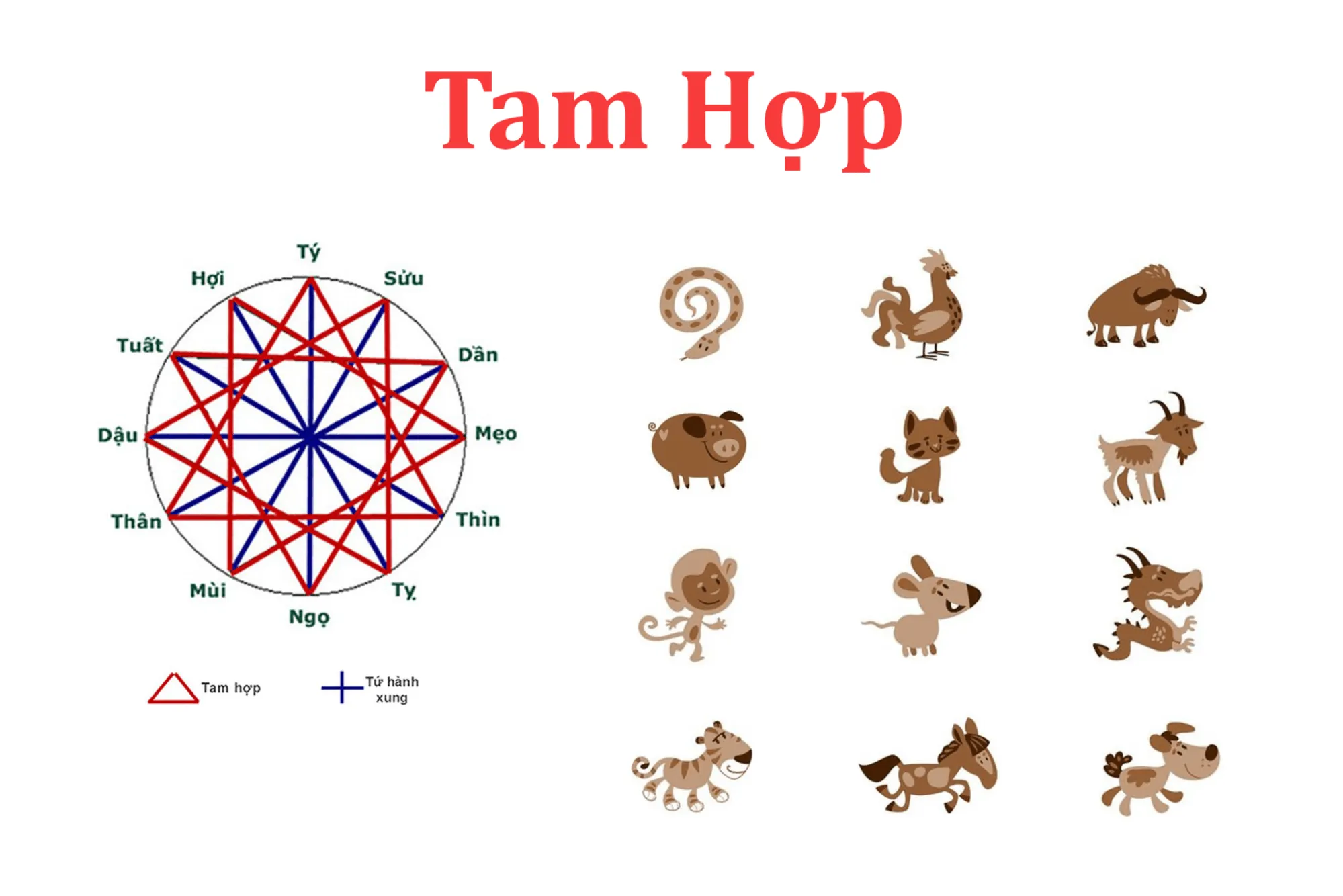 Tam hợp hóa tam tai là gì? Cách hiểu đúng về tam hợp hóa tam tai