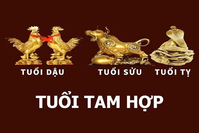 Tam hợp hóa tam tai là gì? Cách hiểu đúng về tam hợp hóa tam tai