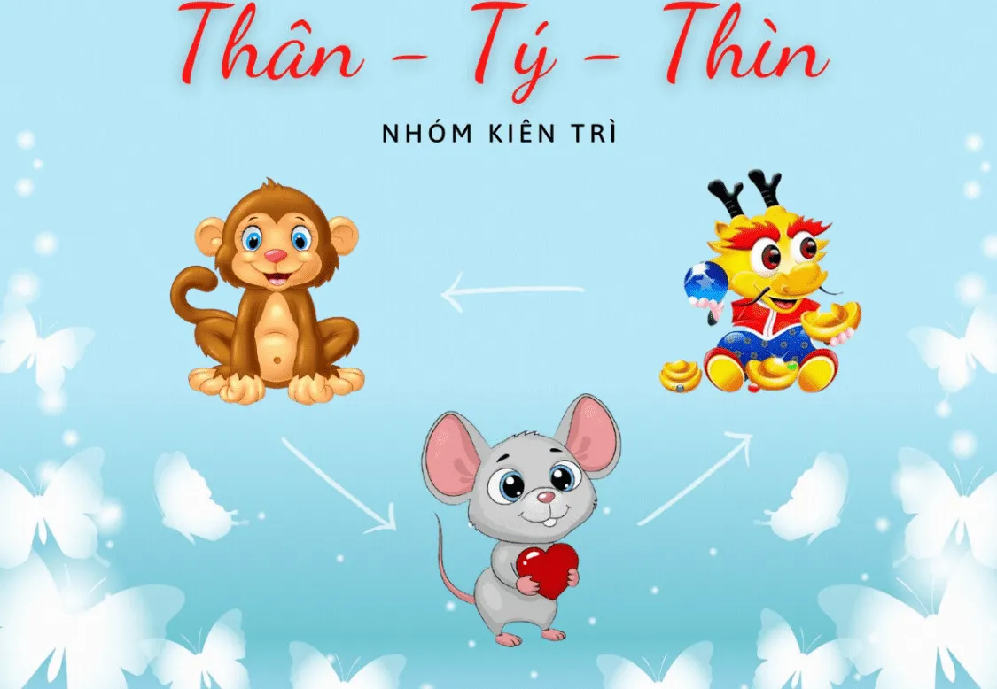 Tam hợp tứ hành xung là gì? Những tuổi tam hợp, tứ hành xung trong 12 con giáp