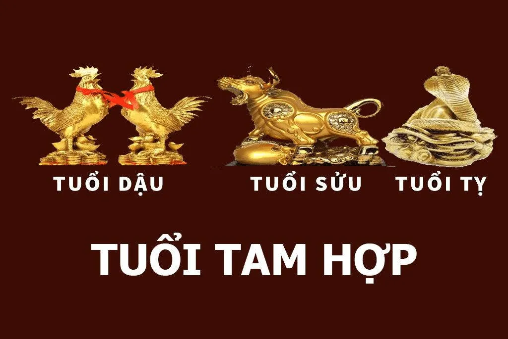 Tam hợp tứ hành xung là gì? Những tuổi tam hợp, tứ hành xung trong 12 con giáp