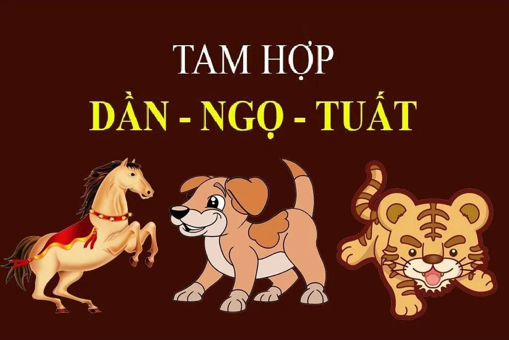 Tam hợp tứ hành xung là gì? Những tuổi tam hợp, tứ hành xung trong 12 con giáp