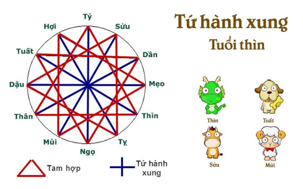 Tam hợp tứ hành xung là gì? Những tuổi tam hợp, tứ hành xung trong 12 con giáp