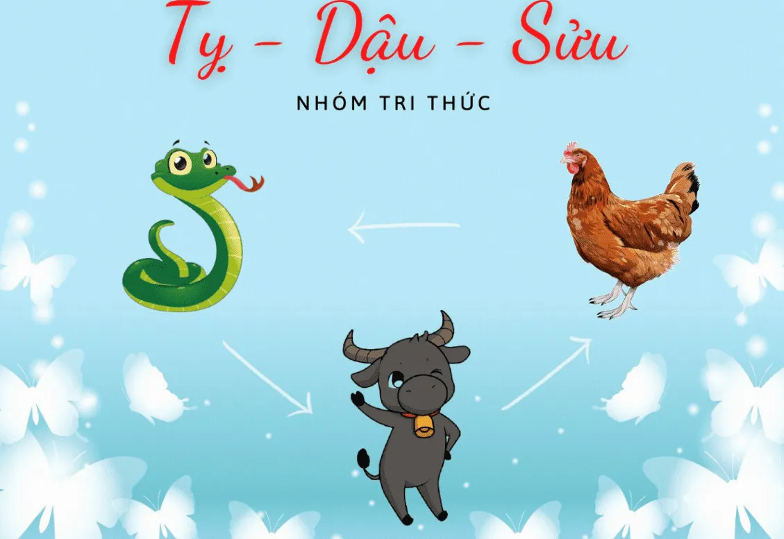 Tam hợp tuổi Tỵ Dậu Sửu: và những điều bạn nên biết