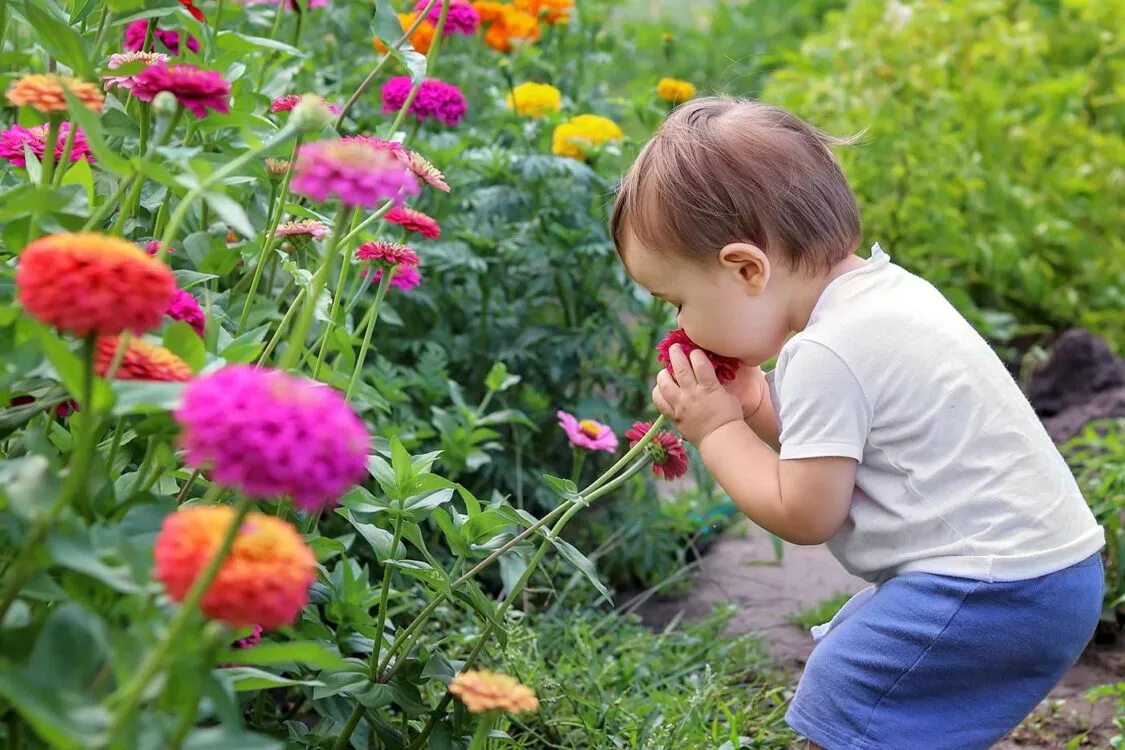 Tên Vinh đệm gì hay? Gợi ý 50+ tên đệm hay cho bé trai tên Vinh