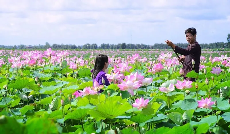 Tháng 10 nên đi du lịch ở đâu miền Nam? Top 20 địa điểm lý tưởng du lịch vào tháng 10