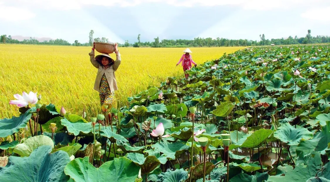 Tháng 12 nên du lịch ở đâu? Bỏ túi top 20 địa điểm lý tưởng Bắc – Trung – Nam 