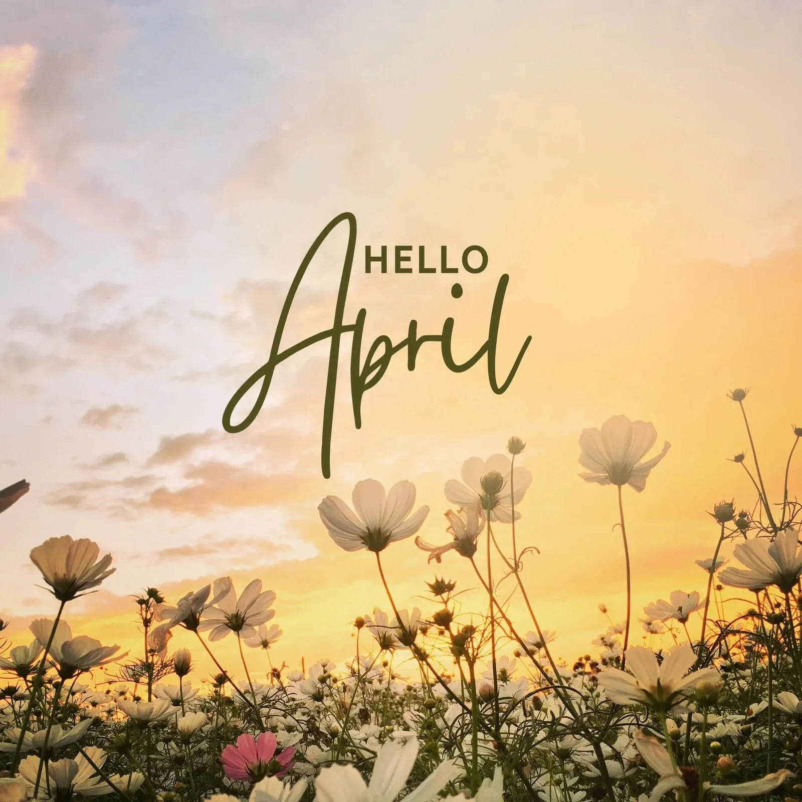Tháng 4 là mùa gì? Tháng 4 có gì đặc biệt?