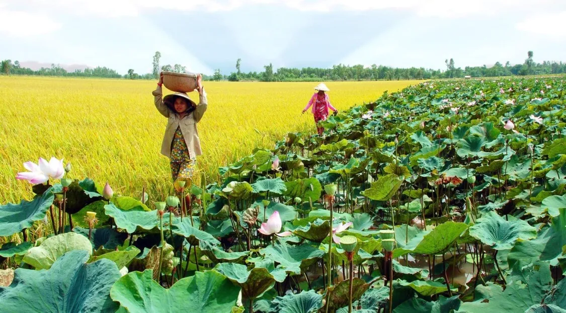 Tháng 6 nên đi du lịch ở đâu đẹp nhất? Tổng hợp top 20 điểm du lịch lý tưởng tháng 6