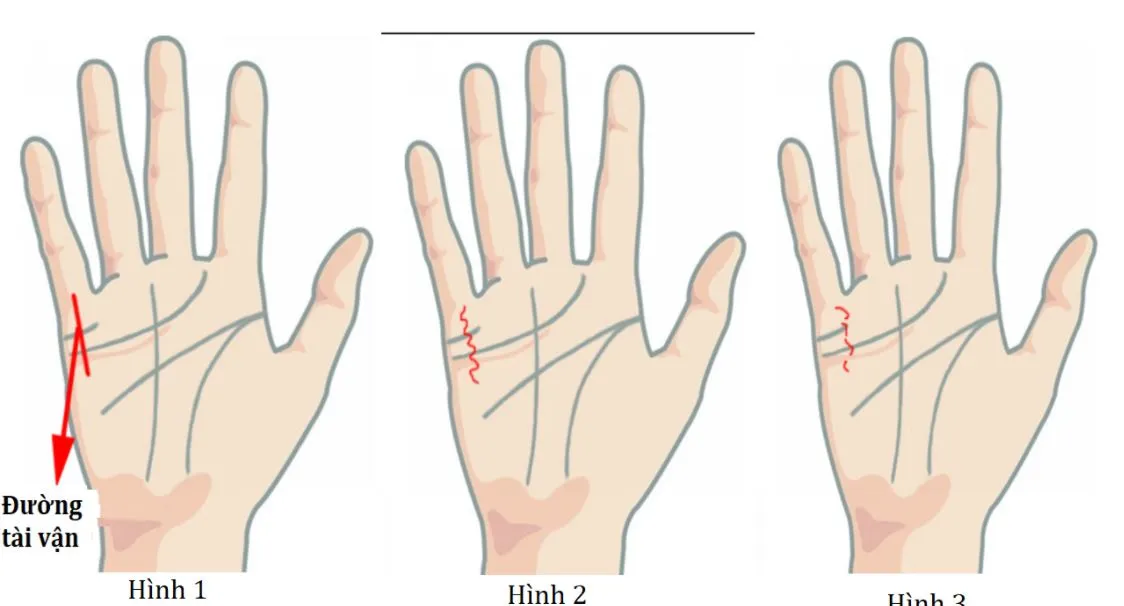 Tiết lộ 13 dấu hiệu của tướng bàn tay giàu có