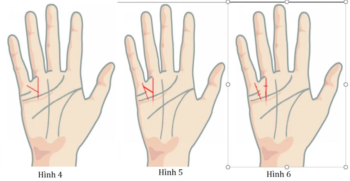 Tiết lộ 13 dấu hiệu của tướng bàn tay giàu có