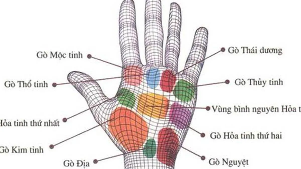 Tiết lộ 13 dấu hiệu của tướng bàn tay giàu có