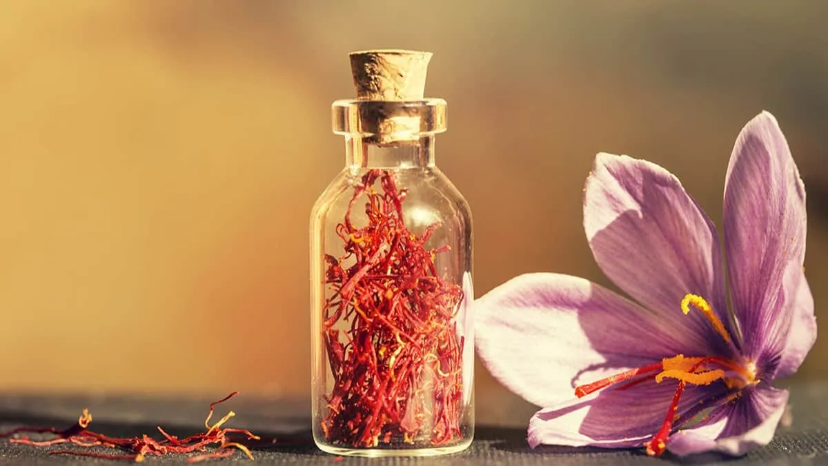 Tìm hiểu nhụy hoa nghệ tây saffron và phân biệt saffron thật giả