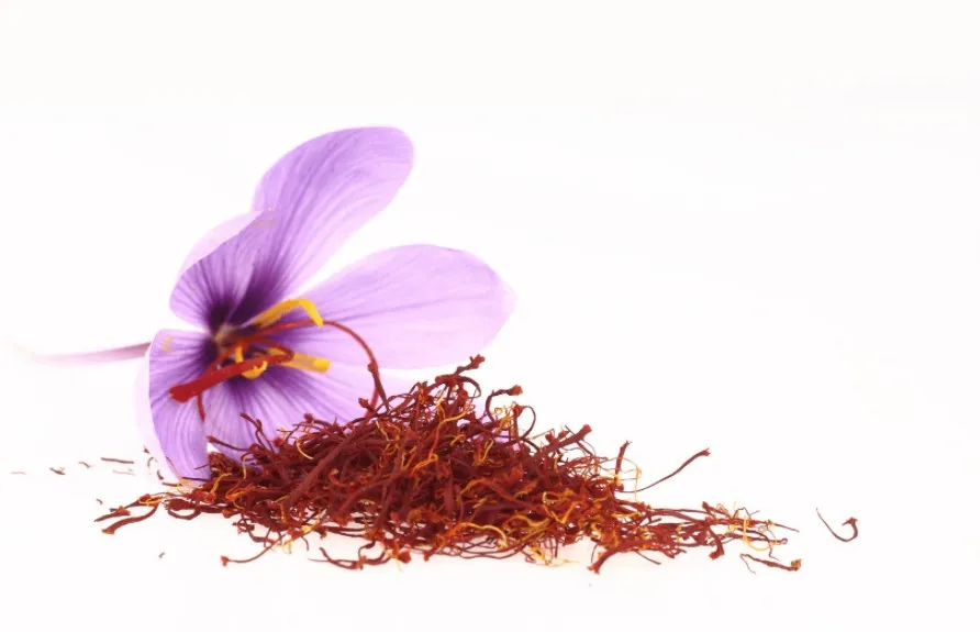 Tìm hiểu nhụy hoa nghệ tây saffron và phân biệt saffron thật giả