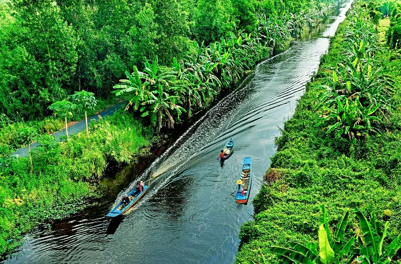 Tổng hợp 6 địa điểm du lịch rừng đẹp nhất ở Việt Nam