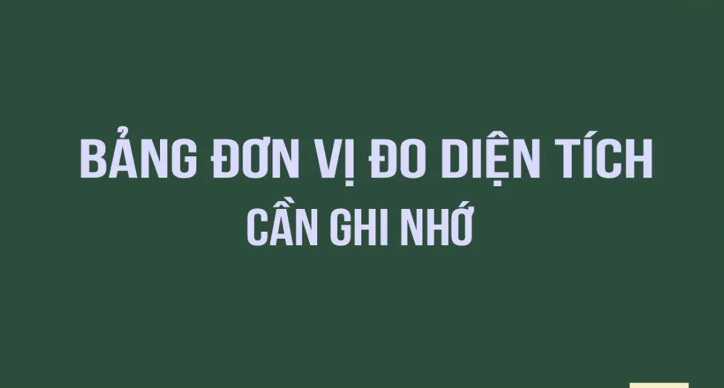 Tổng hợp các đơn vị đo diện tích và cách quy đổi chính xác nhất