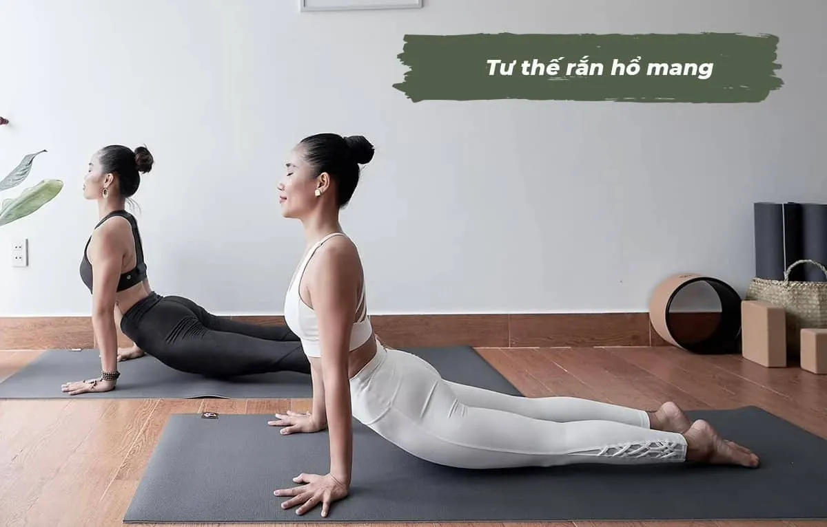 Tổng hợp tư thế tập yoga cho người mới bắt đầu đơn giản, dễ thực hiện