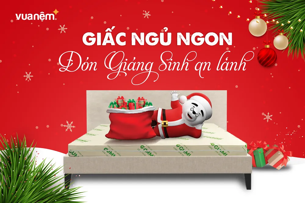 TOP 10+ địa điểm vui chơi Giáng Sinh 2024 tại Hà Nội và TP. HCM