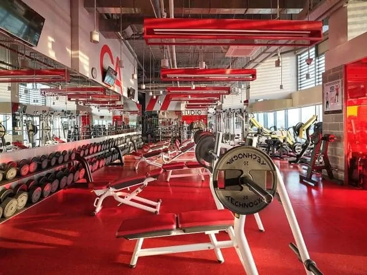 Top 11 phòng tập gym uy tín chất lượng TPHCM