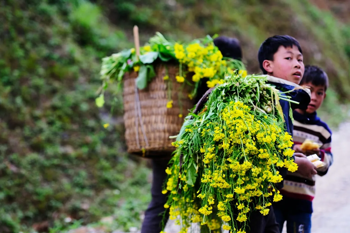 Top 22 đặc sản Mộc Châu bạn nên thử một lần khi ghé thăm nơi này 