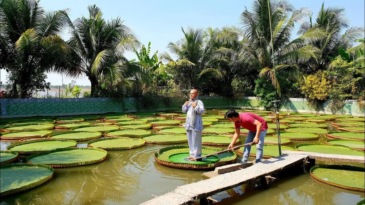 Top 30+ địa điểm du lịch Đồng Tháp nổi tiếng 