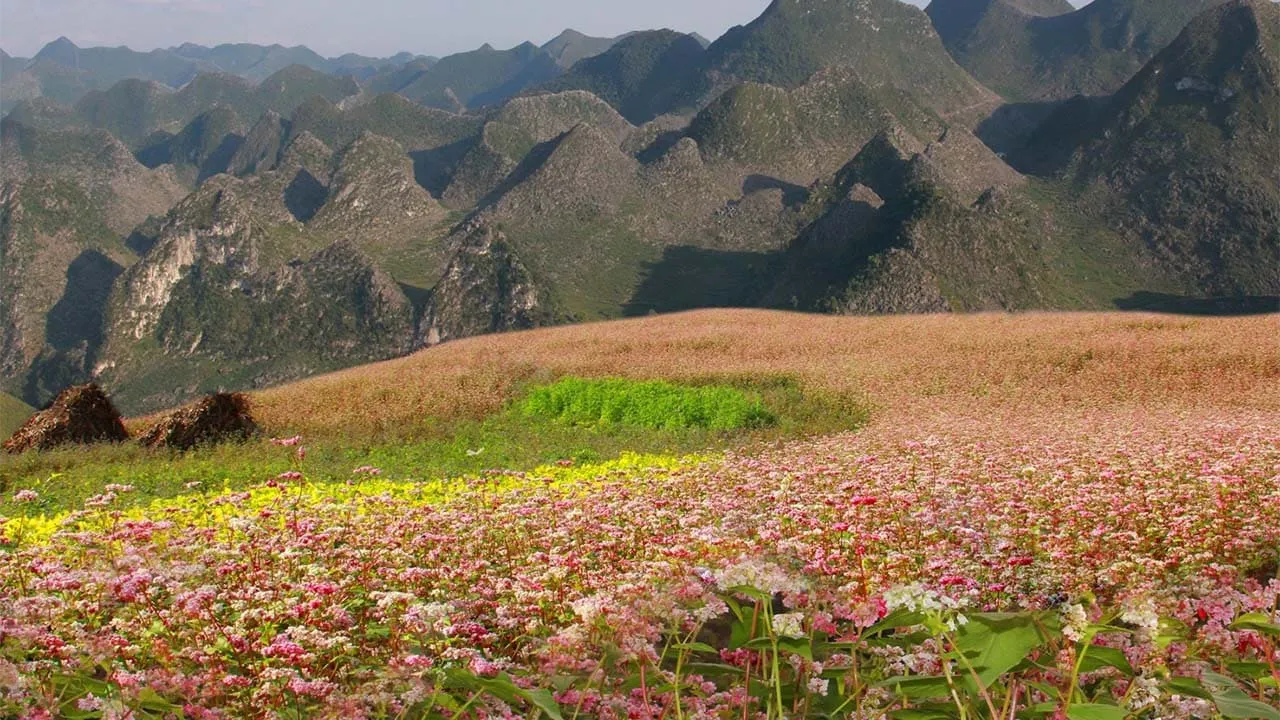 Top 32+ địa điểm du lịch Hà Giang không nên bỏ lỡ