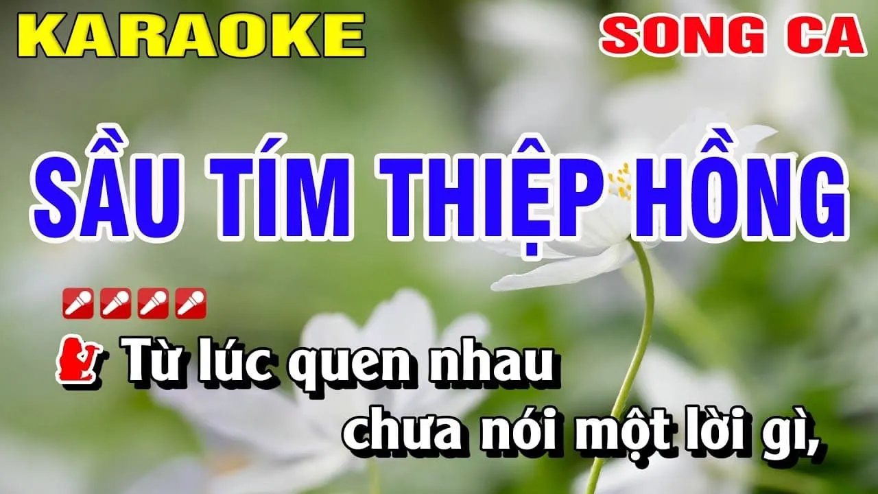 Top 33 bài hát karaoke song ca hay, dễ hát mà bạn nên khám phá