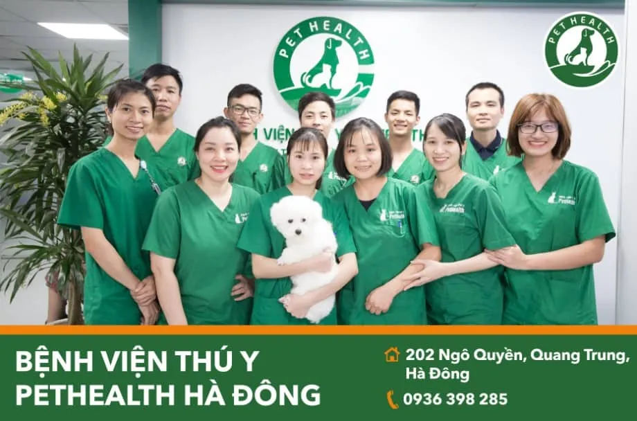 Top 7 phòng khám thú y Hà Nội chất lượng tốt