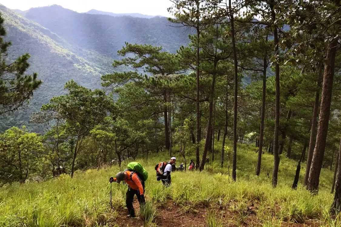 Trekking là gì? Một số cung trekking nổi tiếng ở Việt Nam