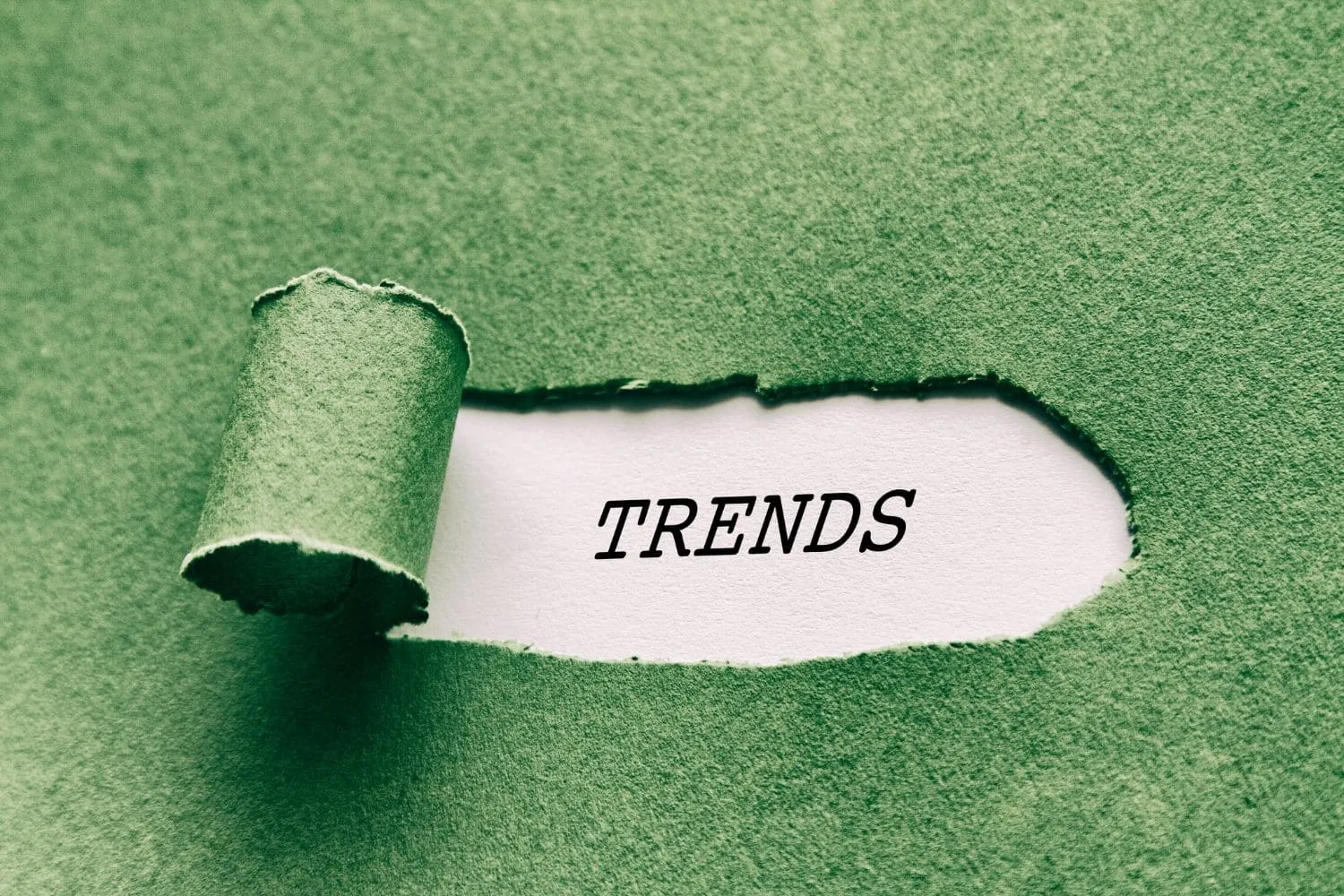 Trend là gì? Cách sử dụng trend hiệu quả trong Marketing